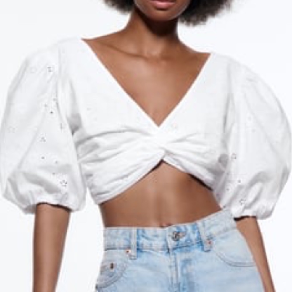 ZARA Embroidered Eyelet Crop Top